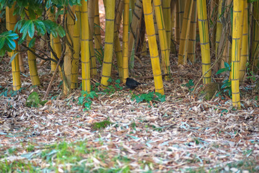 Similar image 22431693