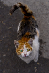 Similar image 22430823