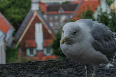 Similar image 22426983