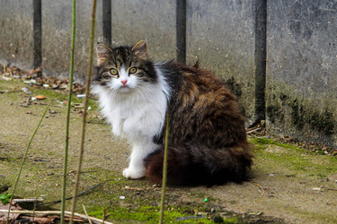 Similar image 22426984