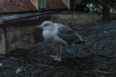 Similar image 22426985