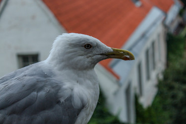 Similar image 22426986