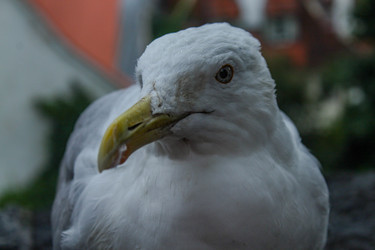 Similar image 22426987