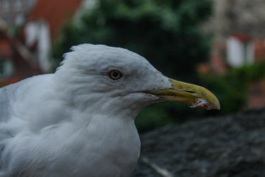 Similar image 22426988