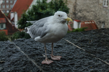 Similar image 22426989