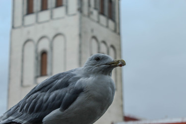 Similar image 22426990