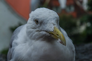 Similar image 22426991