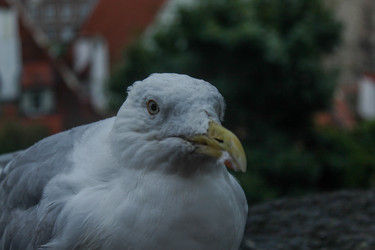 Similar image 22426992