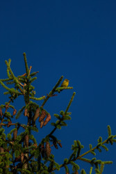 Similar image 22426993