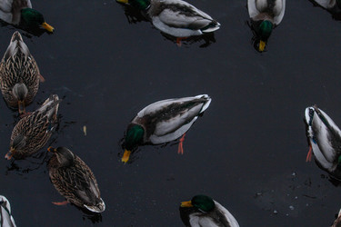 Similar image 22426994