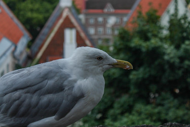 Similar image 22426995