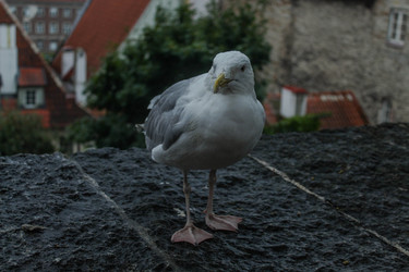 Similar image 22426996