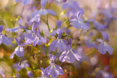 Similar image 22426998