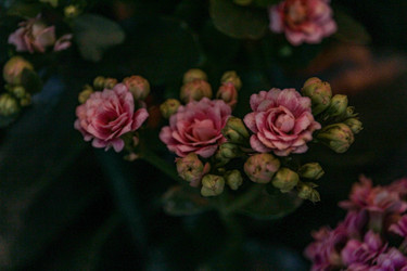 Similar image 22426999