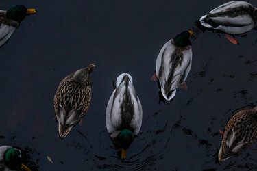 Similar image 22427000