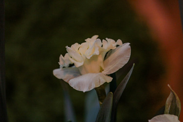 Similar image 22427002