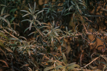 Similar image 22427004