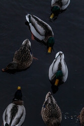 Similar image 22427005