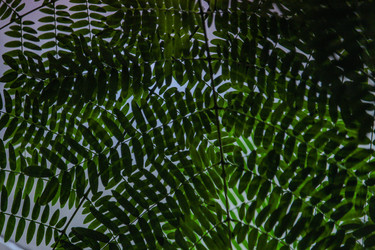 Similar image 22427017