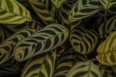 Similar image 22427018