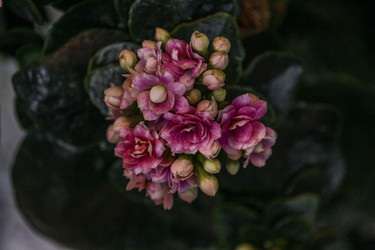 Similar image 22427019