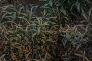 Similar image 22427020