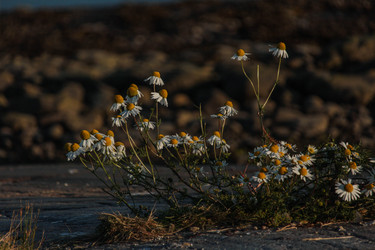 Similar image 22427021