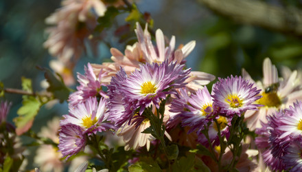 Similar image 22442681