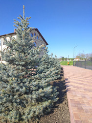 Similar image 22442684