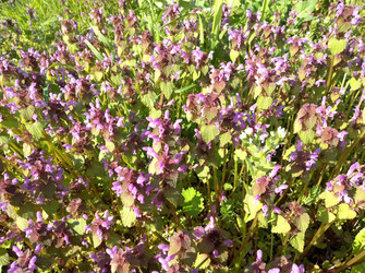 Similar image 22442686