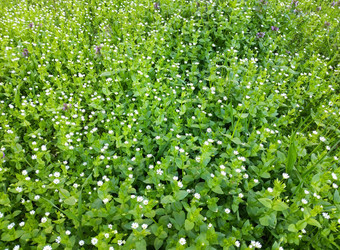 Similar image 22442733