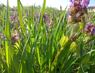 Similar image 22436073