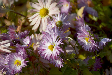 Similar image 22436074