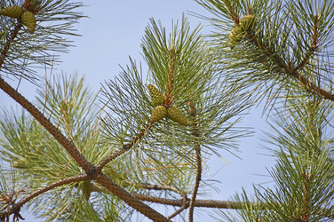 Similar image 22436079