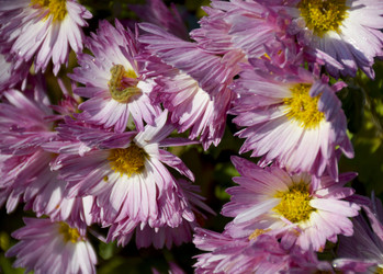 Similar image 22430737