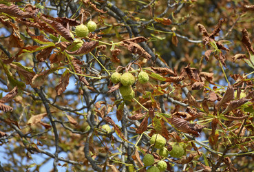 Similar image 22430744