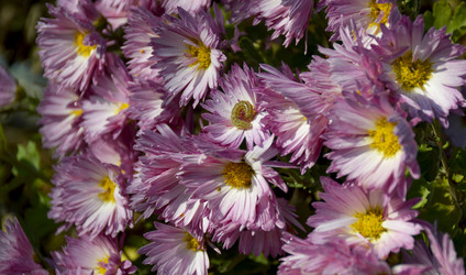 Similar image 22430745