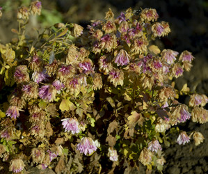 Similar image 22430746