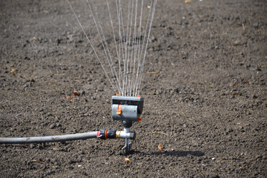 Similar image 22430748