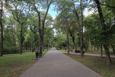 Similar image 22431631