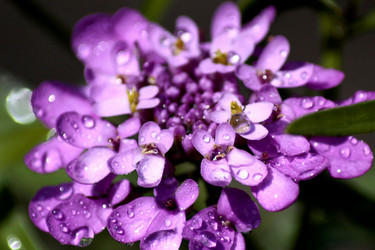 Similar image 22426886