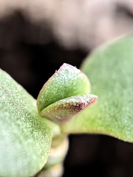 Similar image 22426889