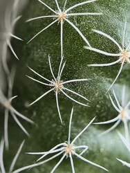 Similar image 22426898