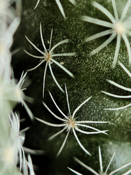 Similar image 22426900