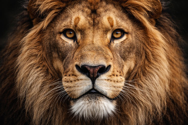 Similar image 22430795