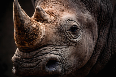 Similar image 22430807