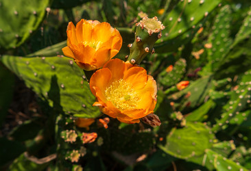 Similar image 22431606