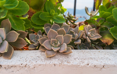 Similar image 22431607