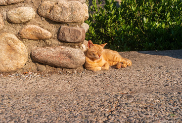 Similar image 22431609