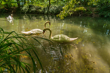 Similar image 22431611